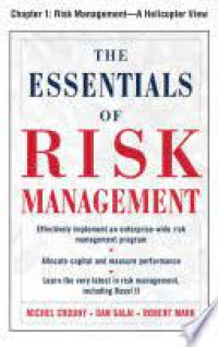 THE ESSENTIALS OF RISK MANAGEMENT